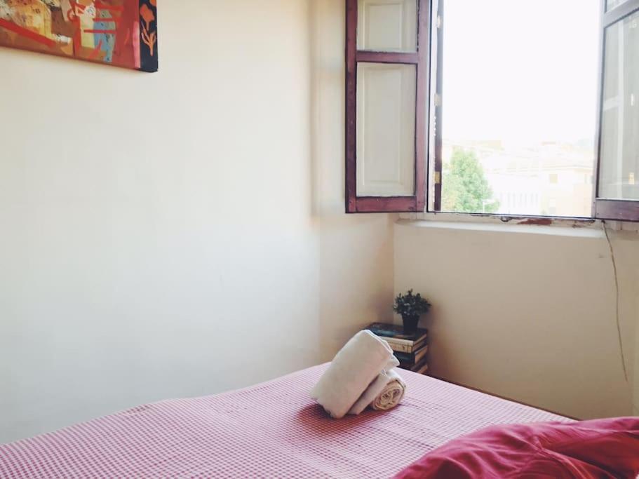 Habitaciones Corazon Centro Historico マラガ エクステリア 写真
